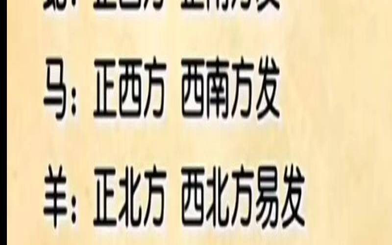 东南西北各属什么生肖（北方生肖正确打一个生肖）