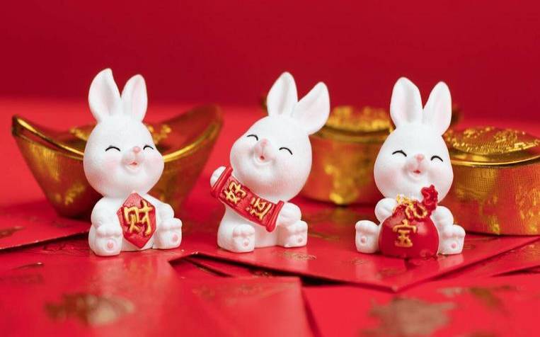 属兔人遇猪年运势如何（兔羊猪是一家人好吗）