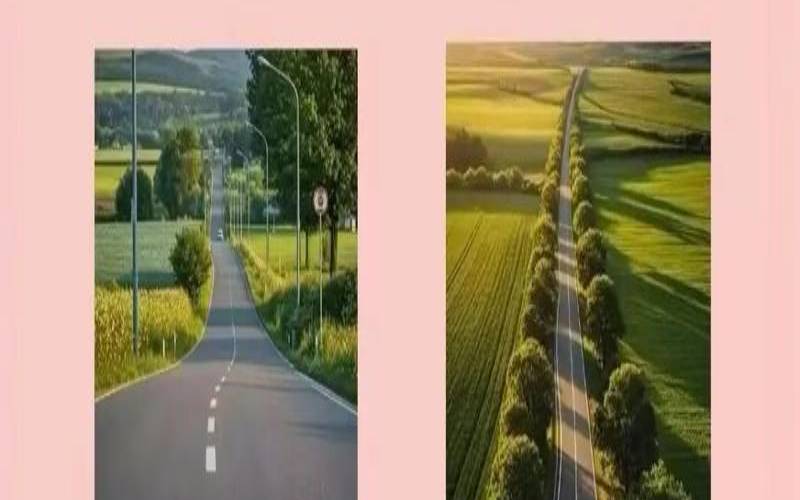 测测是干啥的（人生道路上的坎坷感悟）