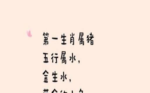 猪年出生男宝取什么名字（属猪的名字大全）