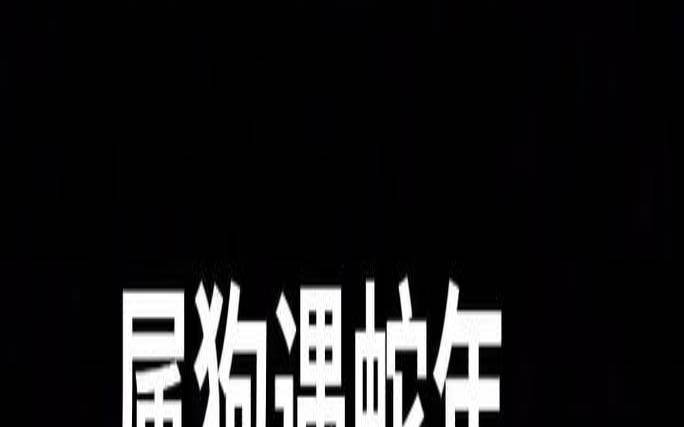 属狗与属蛇的合得来吗（生肖狗跟生肖蛇合不合）