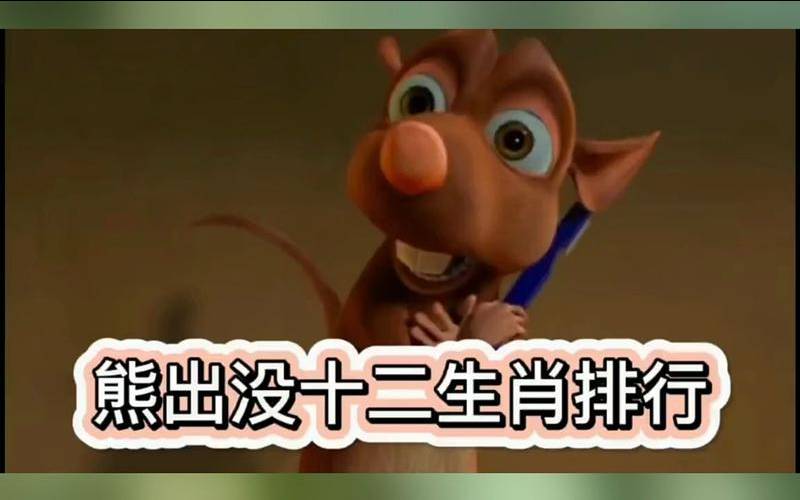 熊出没对应的十二生肖（熊出没不同角色战力对比）