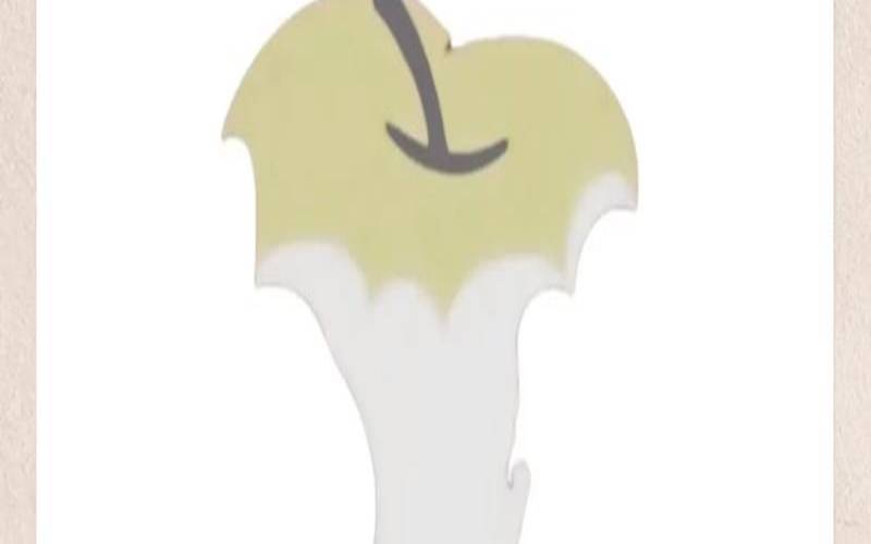 心理测试动物排序猪老虎牛（选三个动物心理测试）