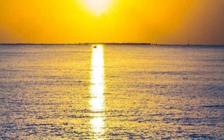 83年大海水命人缺什么（83大海水命忌讳的颜色）