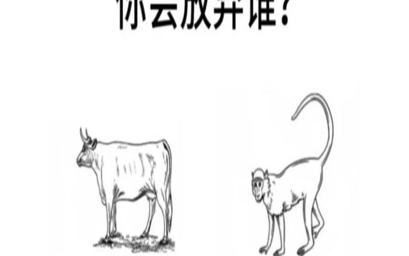 心理测试谁最重要（免费权威心理测试）