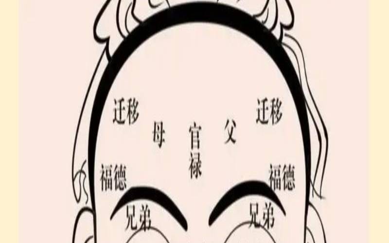 八字和面相哪个更重要一点（八字命格一览表）