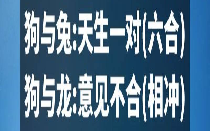 属狗与什么属相最配对（属狗的和什么属相相克）