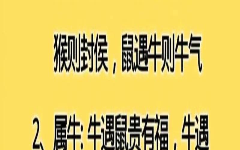 含有生肖年的俗语（十二生肖的老俗语）