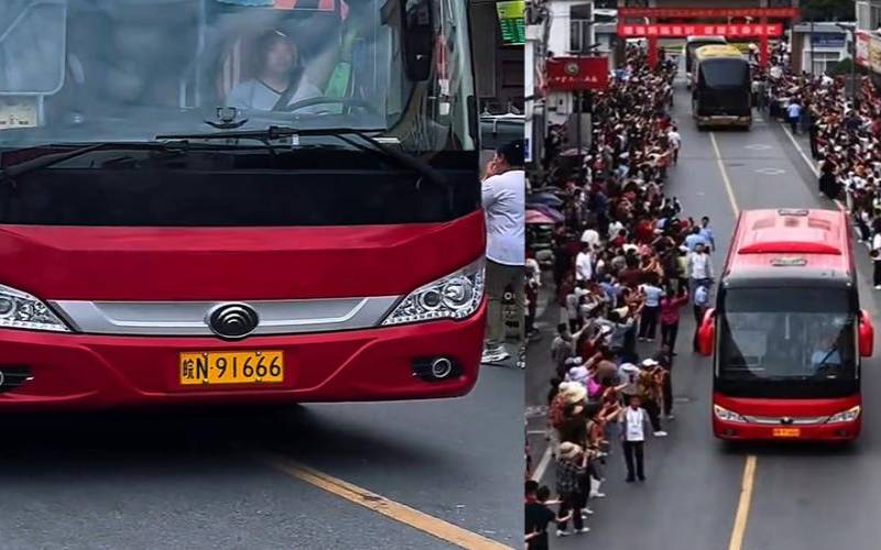 属马车牌号尾数为几号（属马车牌号有什么字母最旺）