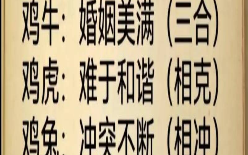 12生肖里属鸡的跟什么最配（属鸡配对属相婚配表）