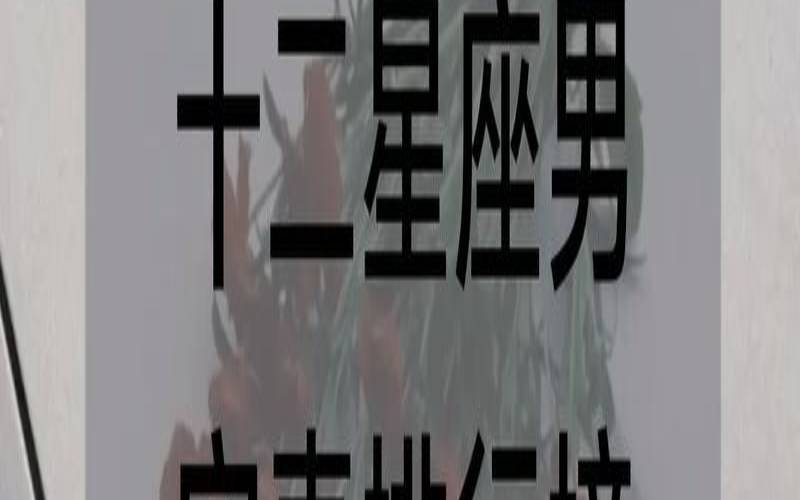 最宠老婆的星座男第一名（十二星座最疼老婆排名）