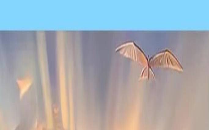 随机应变能力叫什么（测试你什么能力突出）