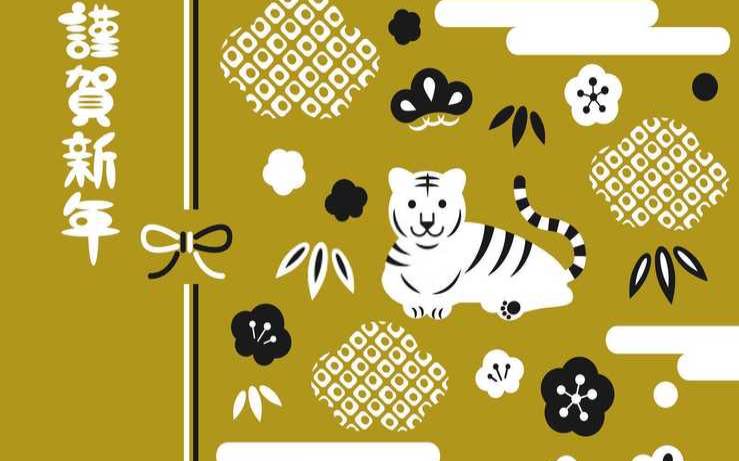 本命年牛戴什么保平安（女人牛本命年戴什么好）