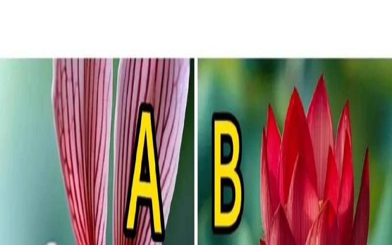 7号心理测试里的智能小程序（最权威的心理测试）