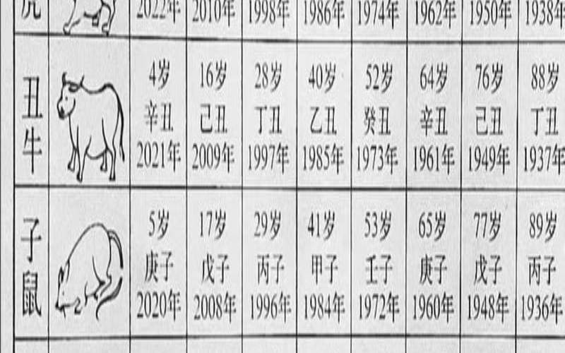 2021年运程马（2021生肖特马表图完整）