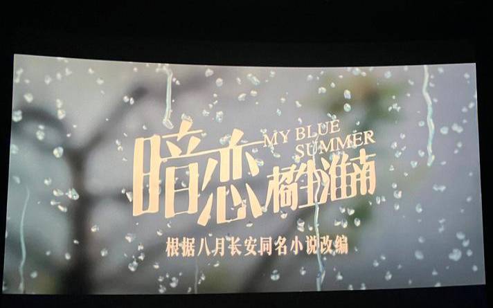 洛枳和盛淮南什么星座（盛淮南怎么爱上洛枳）