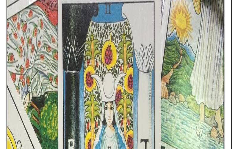 星座师琪琪付费年运（魔法噜噜星座网）