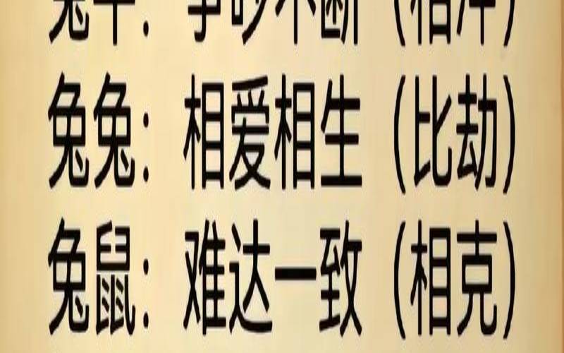 97年和什么生肖配对（兔子和什么属相相冲）