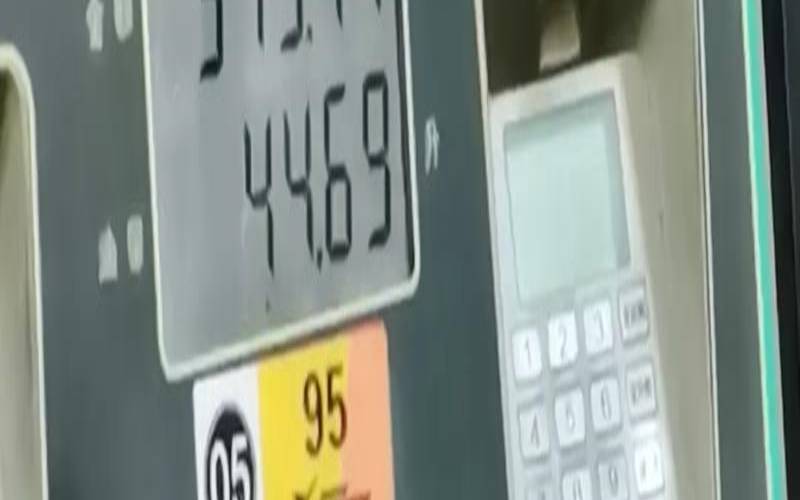 汽车95是什么油（95车牌照代表什么意思）