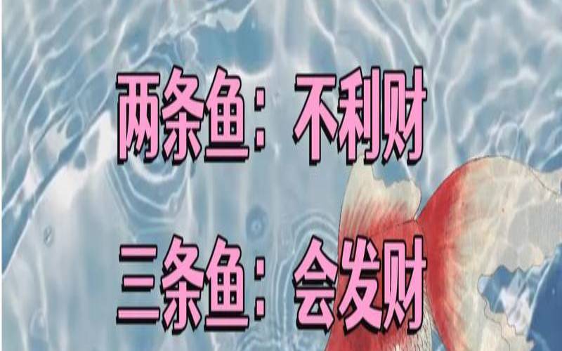 风水家里养鱼有什么讲究吗（家中养鱼风水大忌）