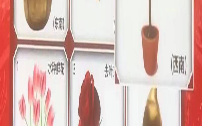 麦玲玲星座运程（美国神婆2020年星座运势）