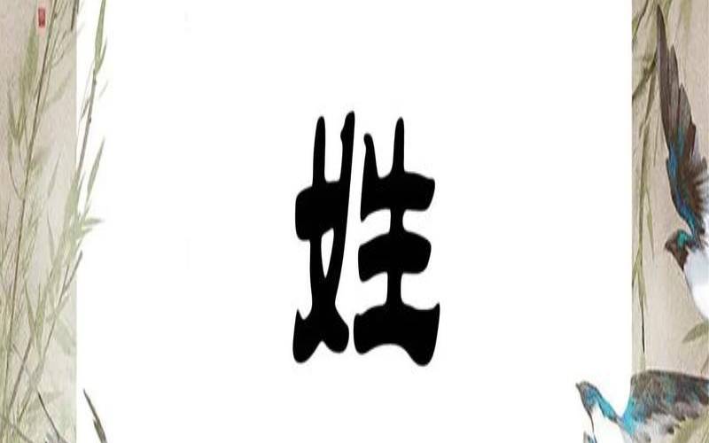 颜姓女孩起名字（颜姓好听的女孩名字）