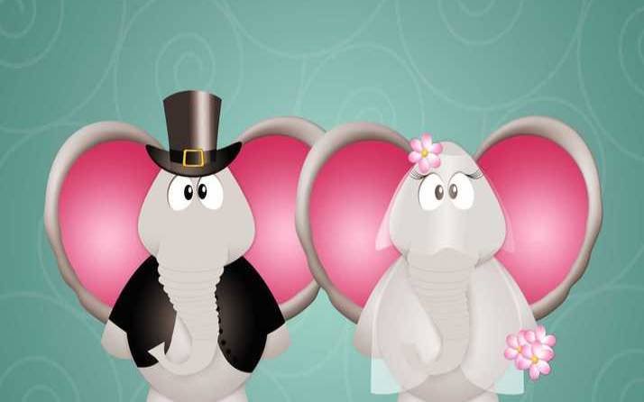 虎年和龙年相配吗（属虎为什么要远离属龙）