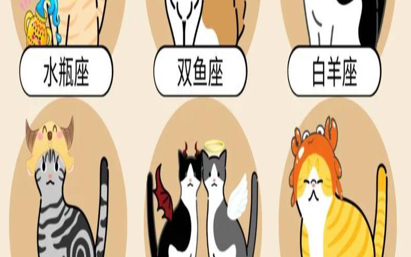 十二星座里面谁最傻排名（十二星座猫咪女王）
