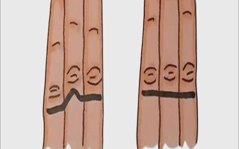 测试你是有才还是有财（测你以后会是个有钱人吗）