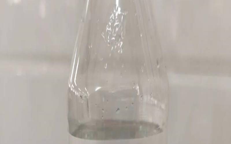 汽水指什么生肖（水代表什么生肖和动物）