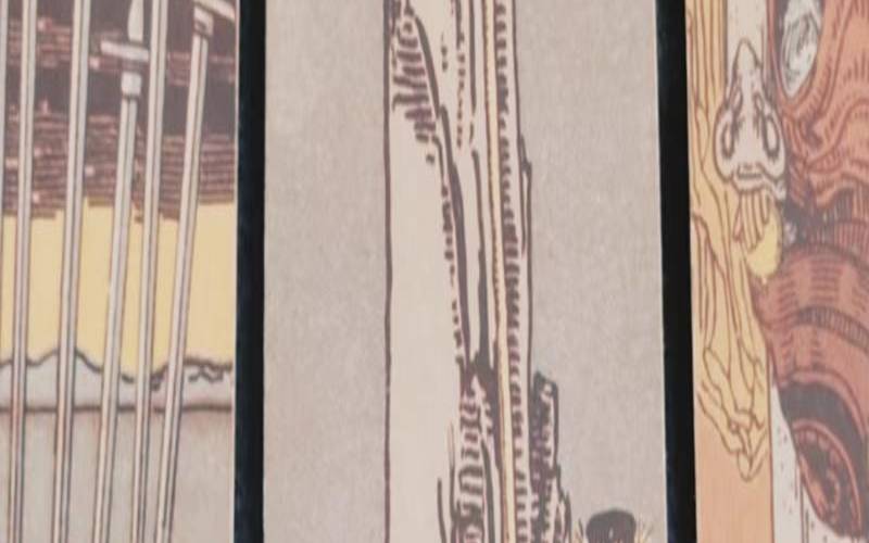 塔罗占卜未来结婚会怎么样（测什么时候能找到对象）