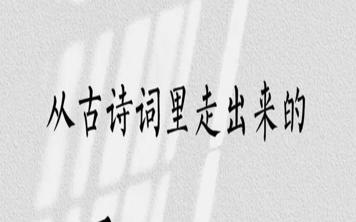 冯姓取什么名字好听（王姓女孩有涵养的名字）