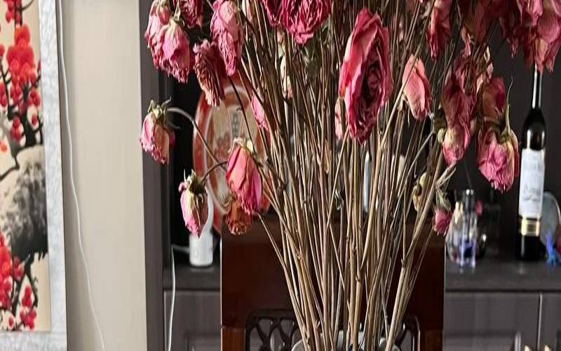 餐桌上摆放什么干花好看（餐桌上适合摆什么鲜花）