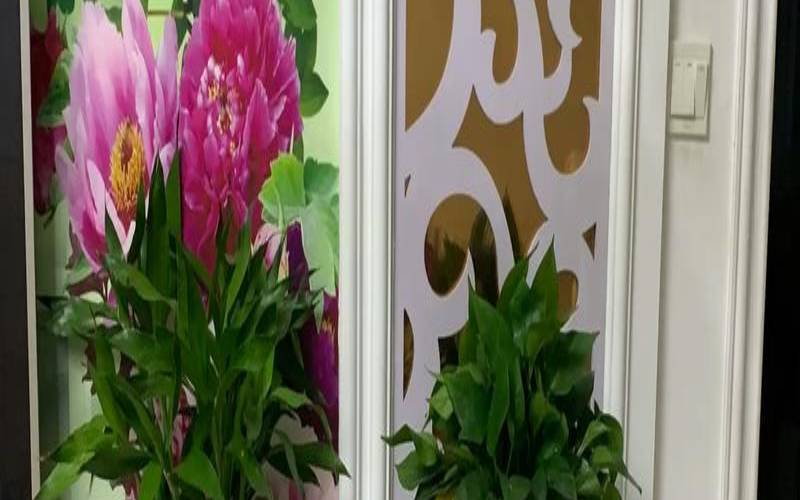 家庭假花摆放风水（假花对风水有什么影响）