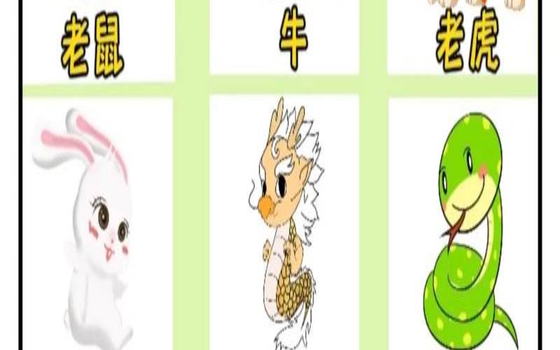 四大生肖是什么动物（四大生肖是哪四大生肖）