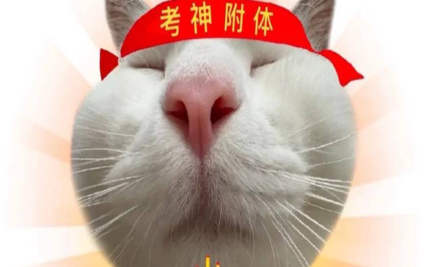 塔罗测试你的2021（测即将有什么好运降临）