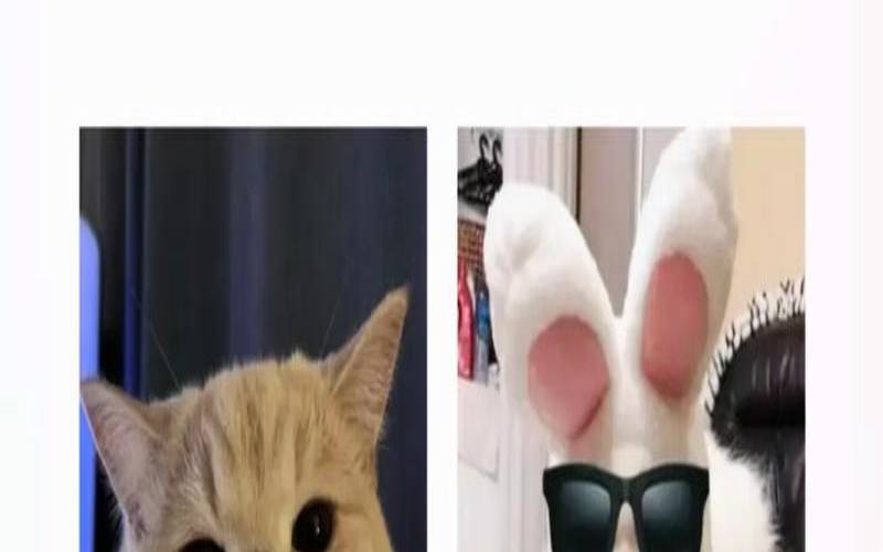 星座很准表情包（朕准了表情包）