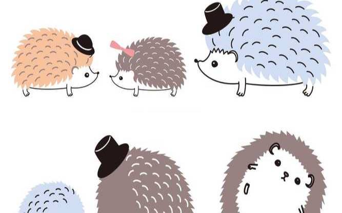 1982年属狗2021年的运程（属鸡2020年运势及运程）