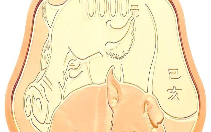猪年生肖纪念币怎么看真假（猪年纪念币回收价格）