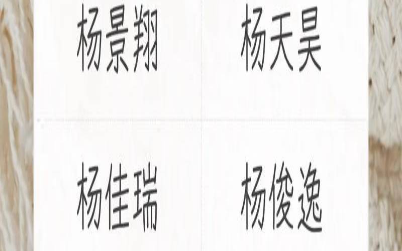 杨姓取名男宝（杨姓男孩取名有内涵）