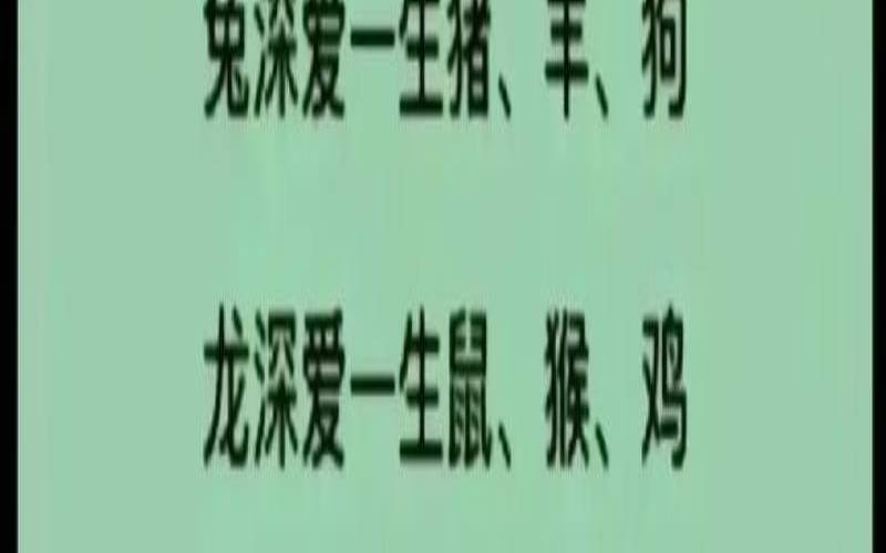 生肖七七开是什么生肖（情字代表什么生肖）