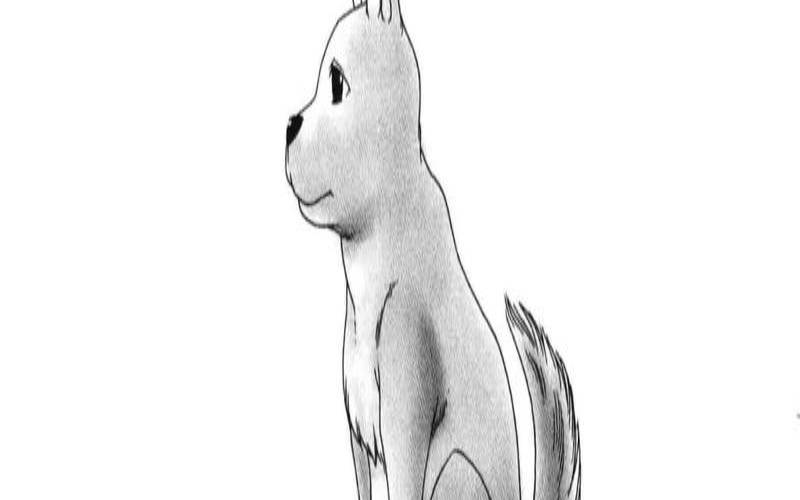 2021年属狗的爱情运势（1994年属狗人的2020年运势）