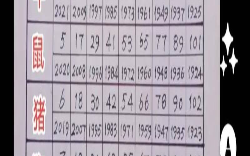 2018年生肖码表（这几年生肖表）
