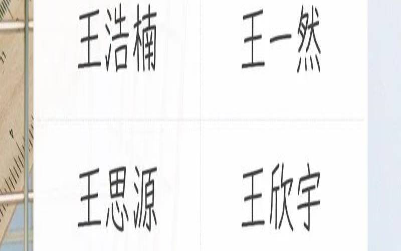 男孩起名姓王皓升（2025年姓王的男孩名字）