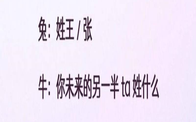 测你未来另一半类型（测什么时候能找到对象）