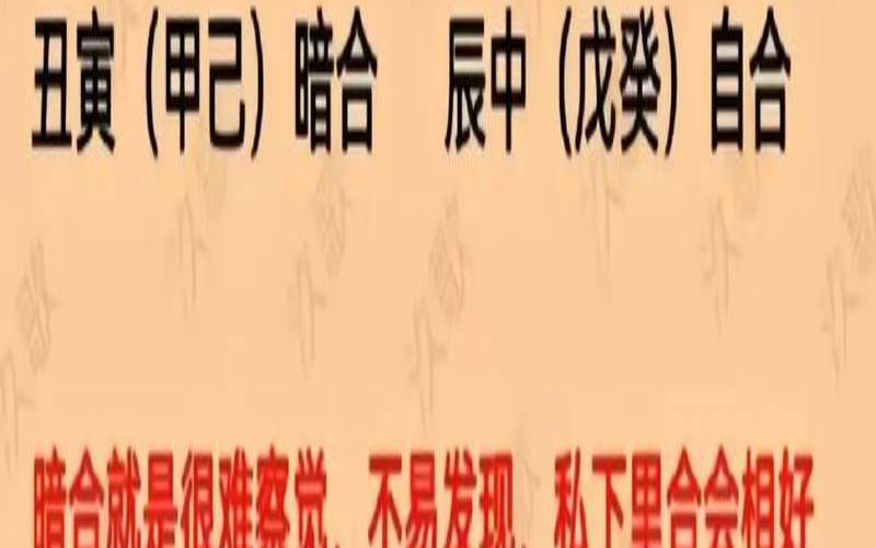 八字看爱情观（八字看谁更爱对方）