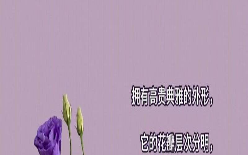 12星座的专属幸运花朵（天蝎座的幸运花）