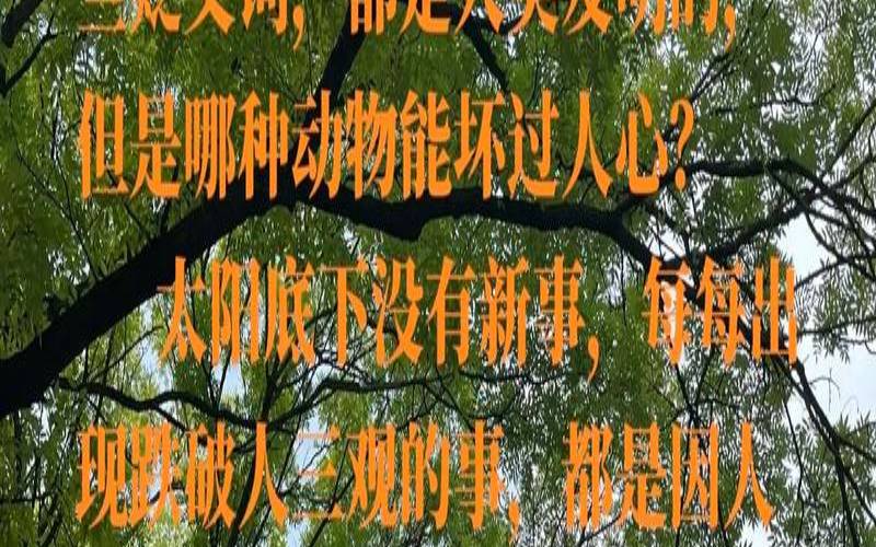 狼子野心十二生肖哪个动物（狼子野心的道理）