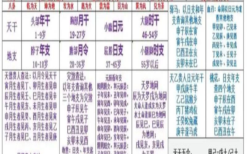 八字命理详细讲解教程（八字基础知识大全）