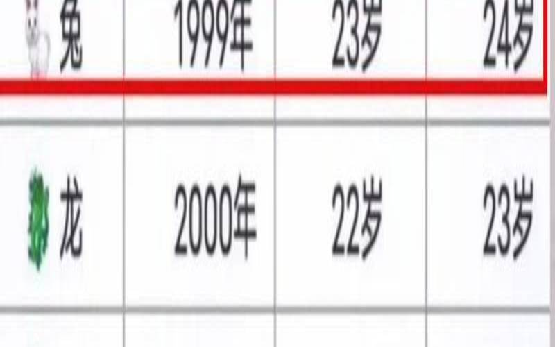 99年属兔的车牌号吉祥数字（1999属兔的最佳车牌号字母）